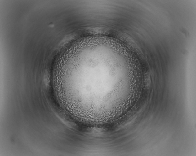 X0000111130255200906301216