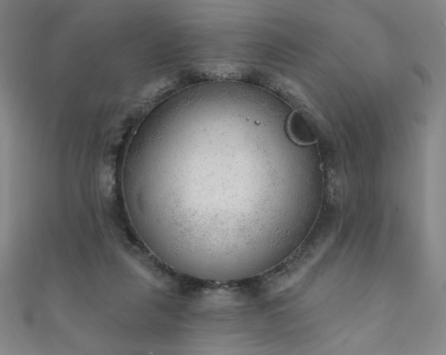 X0000111130259200906301216