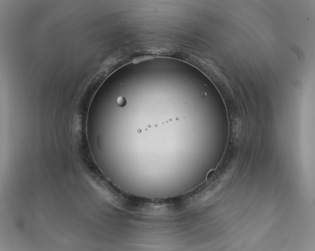 X0000111130260200906301216