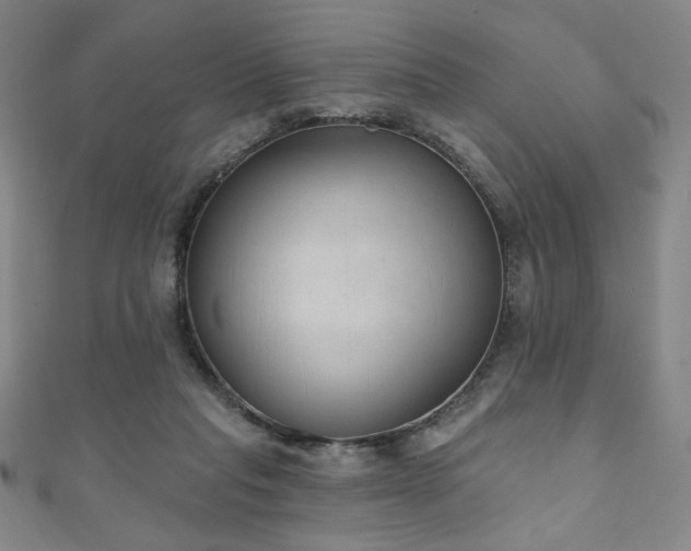 X0000111130261200906301216