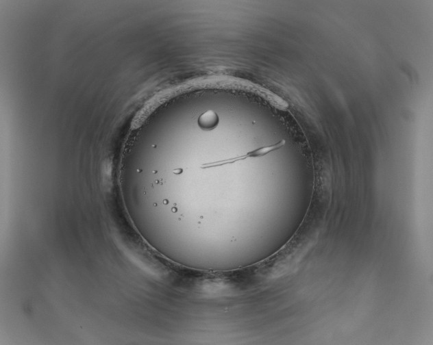 X0000111130262200906301216