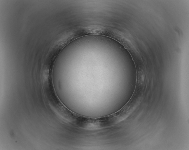 X0000111130263200906301216