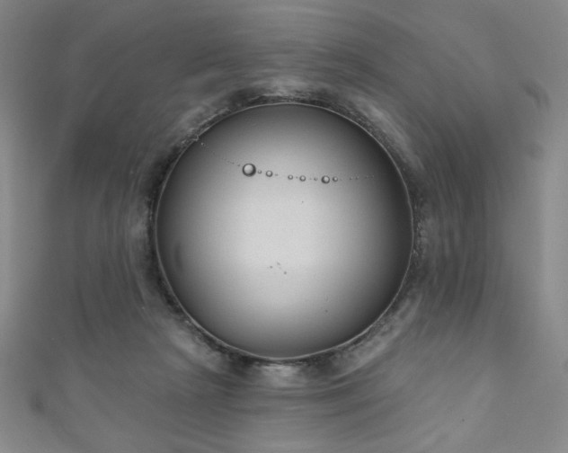 X0000111130265200906301216