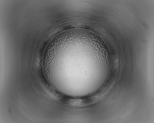 X0000111130266200906301216