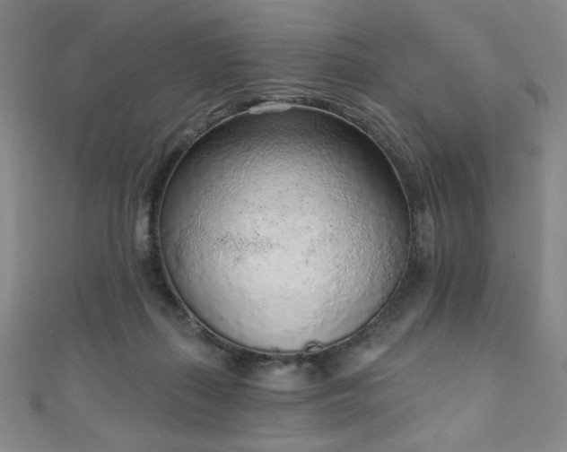 X0000111130267200906301216