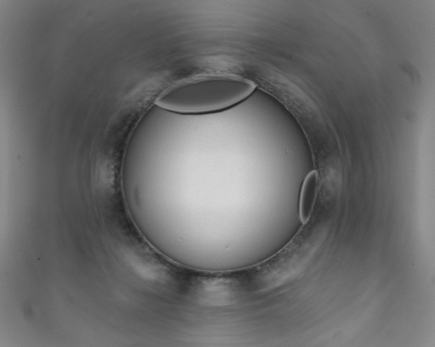 X0000111130268200906301216
