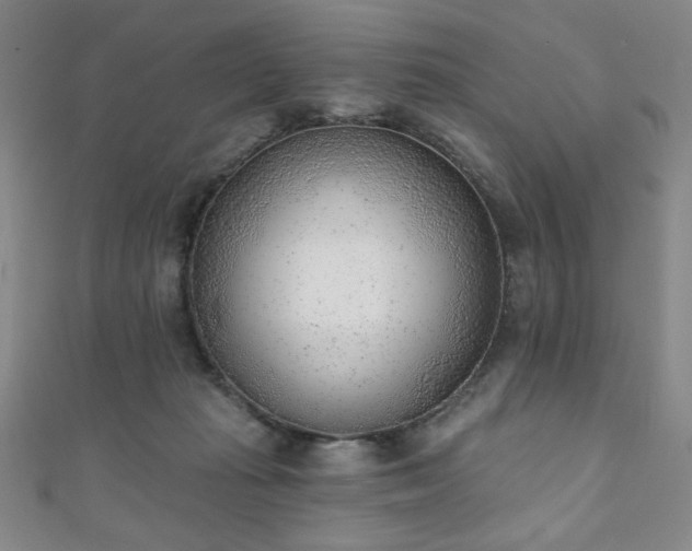 X0000111130269200906301216