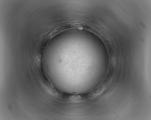 X0000111130271200906301216