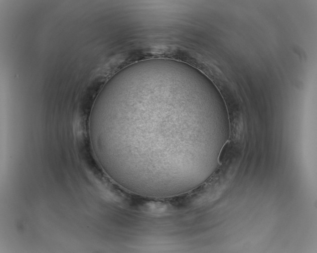 X0000111130272200906301216