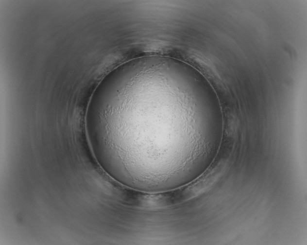 X0000111130273200906301216