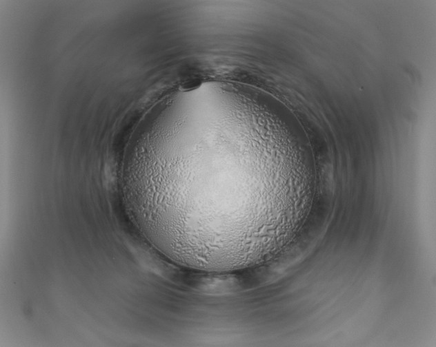 X0000111130274200906301216