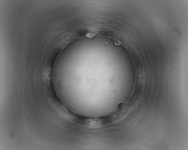 X0000111130275200906301216