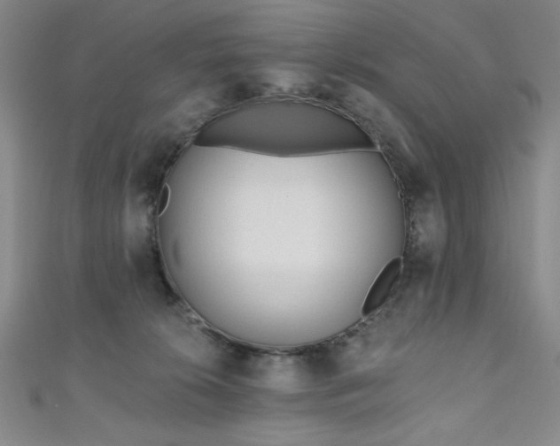X0000111130276200906301216
