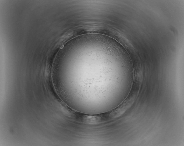 X0000111130277200906301216