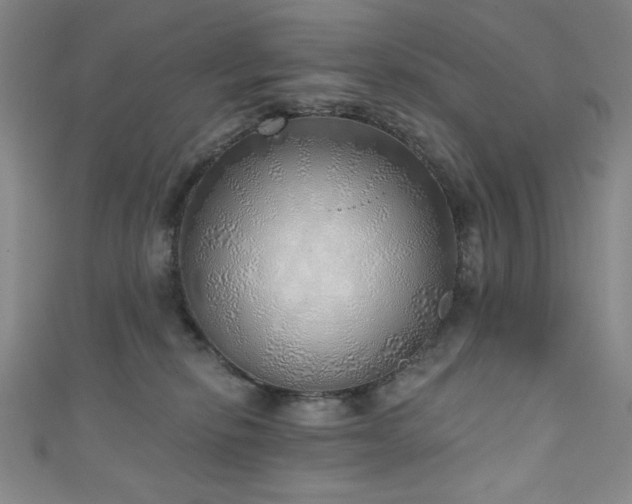 X0000111130278200906301216