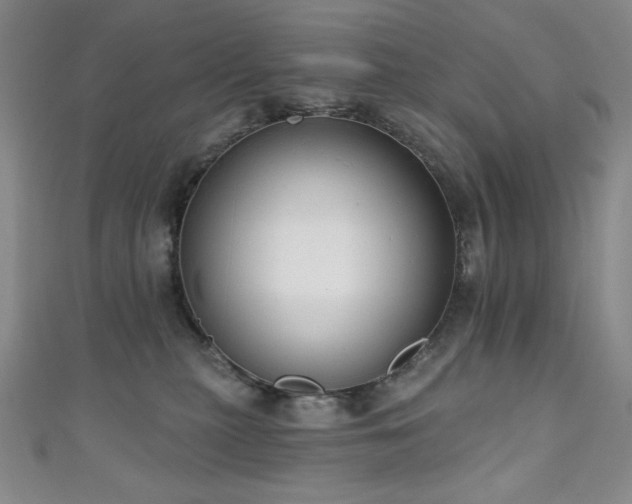 X0000111130279200906301216