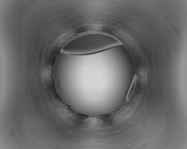 X0000111130280200906301216