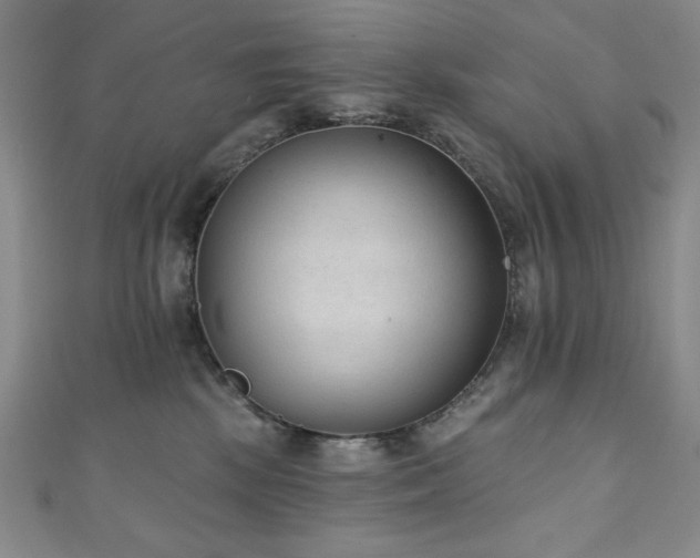 X0000111130281200906301216