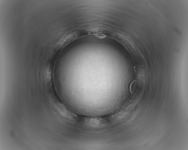X0000111130282200906301216