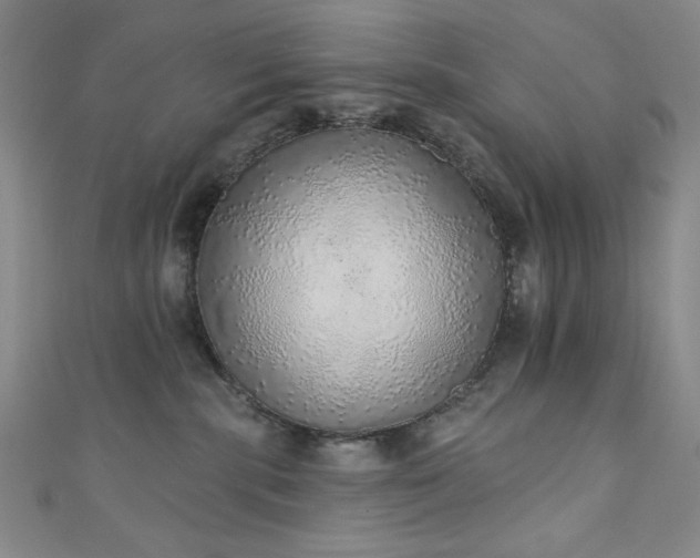 X0000111130283200906301216