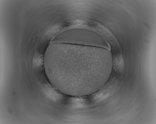 X0000111130284200906301216