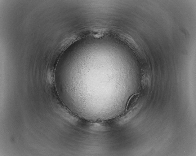 X0000111130285200906301216