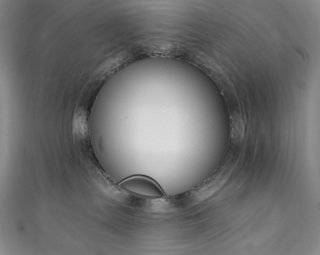 X0000111130287200906301216