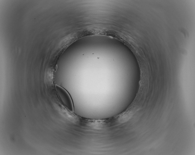 X0000111130288200906301216