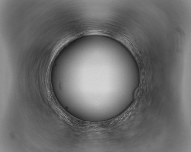 X0000111130289200906301216