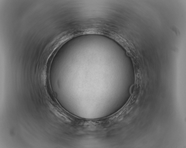 X0000111130290200906301216