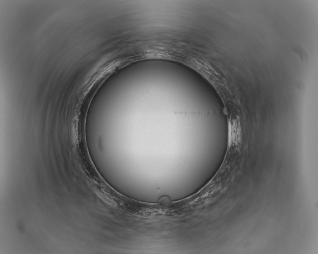 X0000111130291200906301216