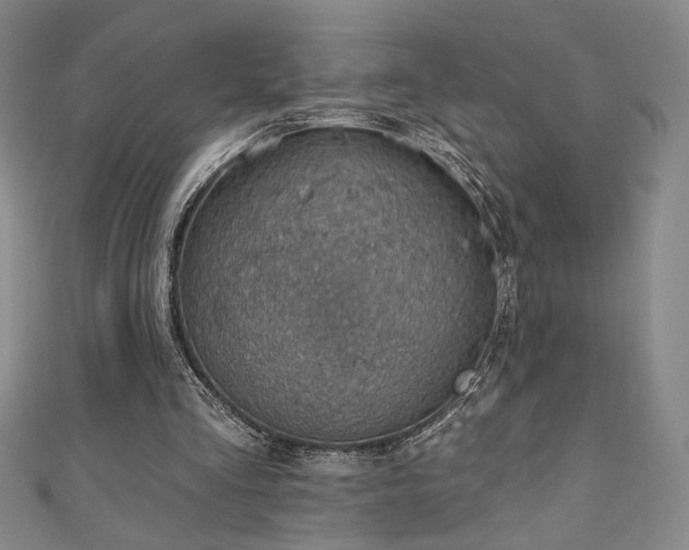 X0000111130293200906301216