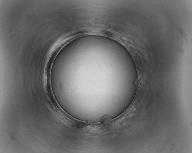 X0000111130294200906301216