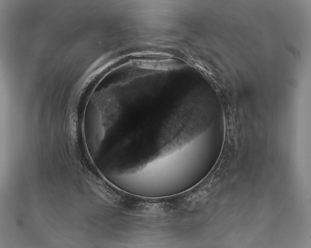 X0000111130295200906301216