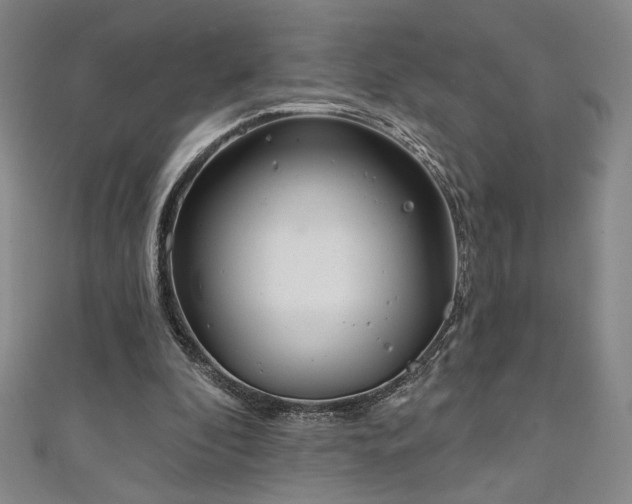 X0000111130296200906301216