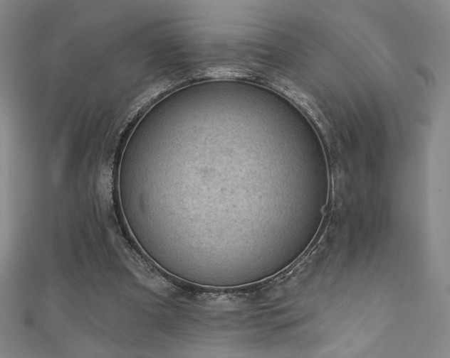 X0000111130297200906301216
