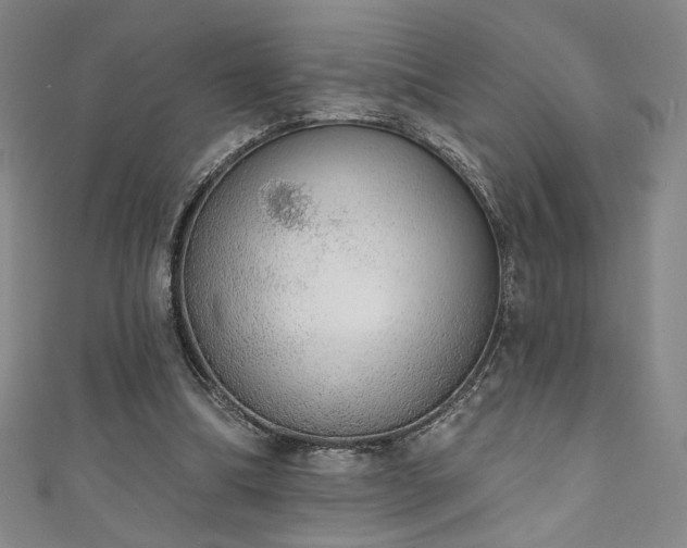 X0000111130298200906301216