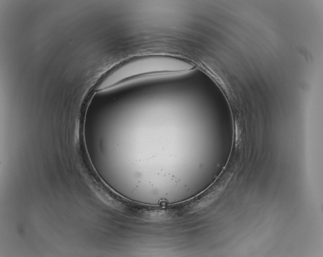 X0000111130301200906301215