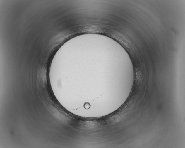 X0000111130302200906301215