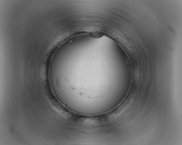 X0000111130303200906301215