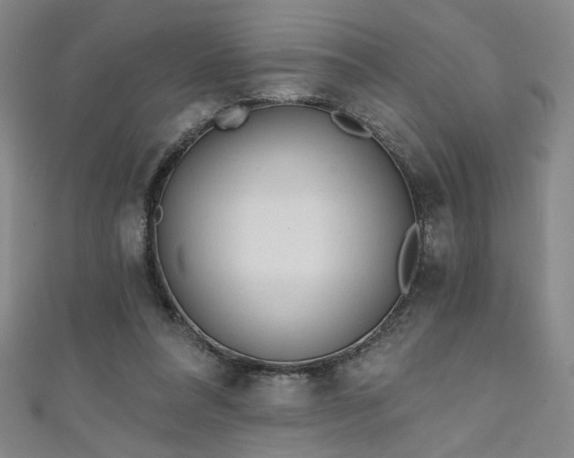 X0000111130304200906301215