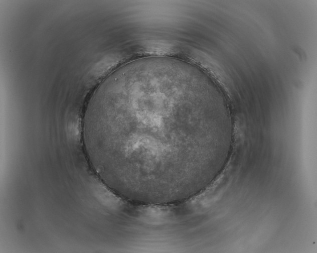 X0000111130305200906301215