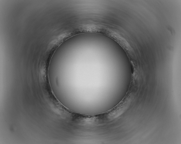 X0000111130306200906301215