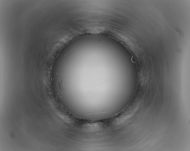 X0000111130307200906301215