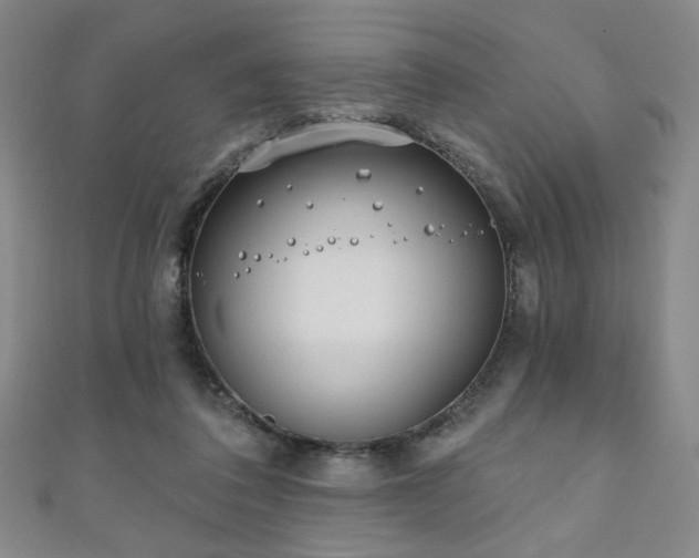 X0000111130308200906301215