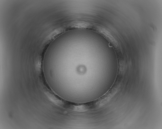 X0000111130309200906301215