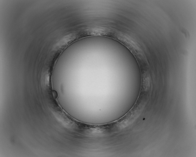 X0000111130310200906301215