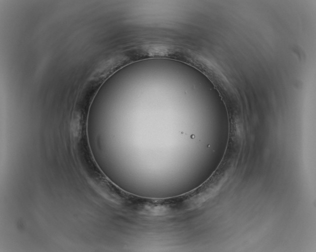 X0000111130311200906301215