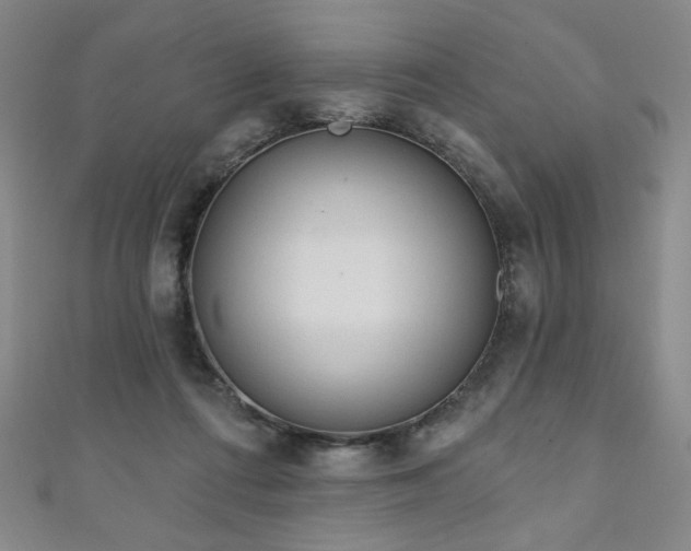 X0000111130312200906301215