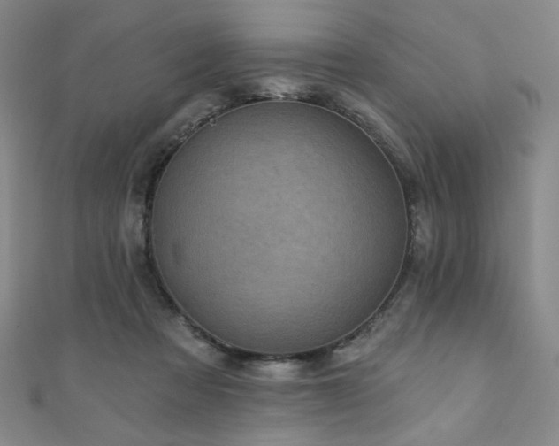 X0000111130313200906301215